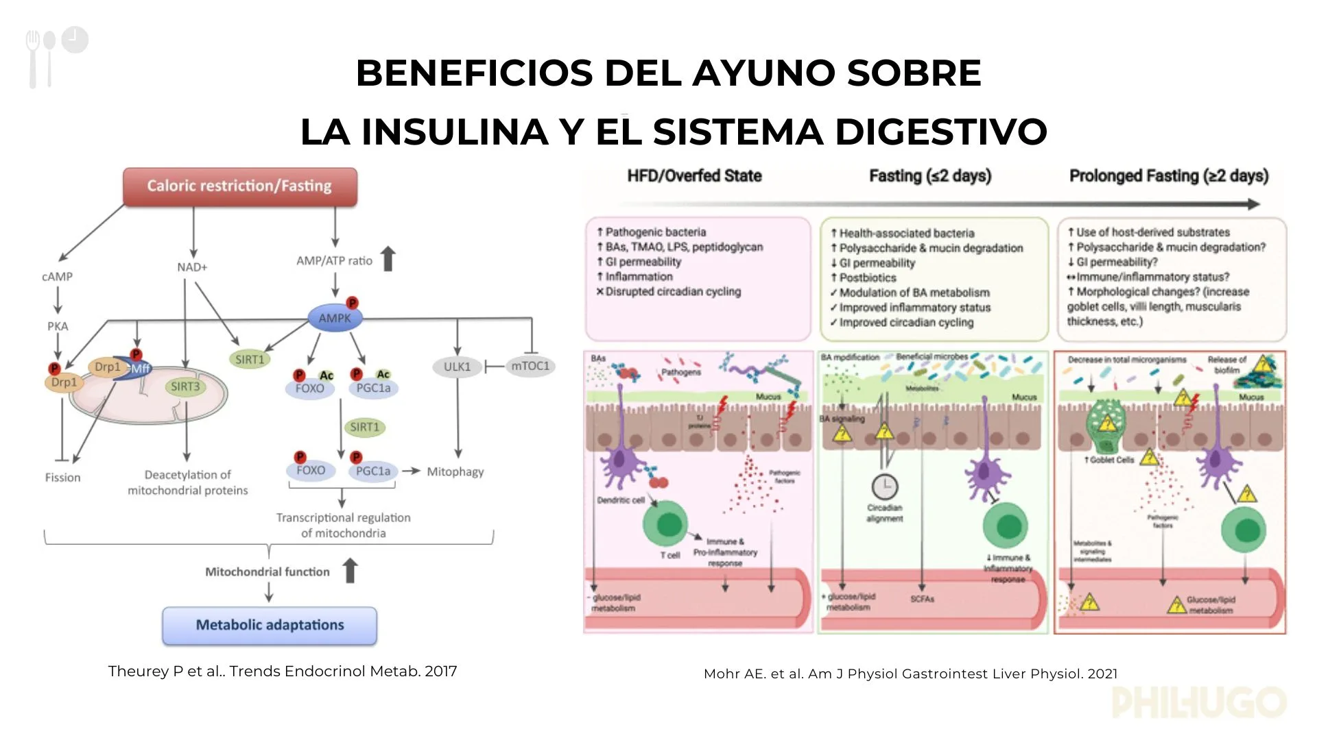 masterclass_comidas_libres_preview_4