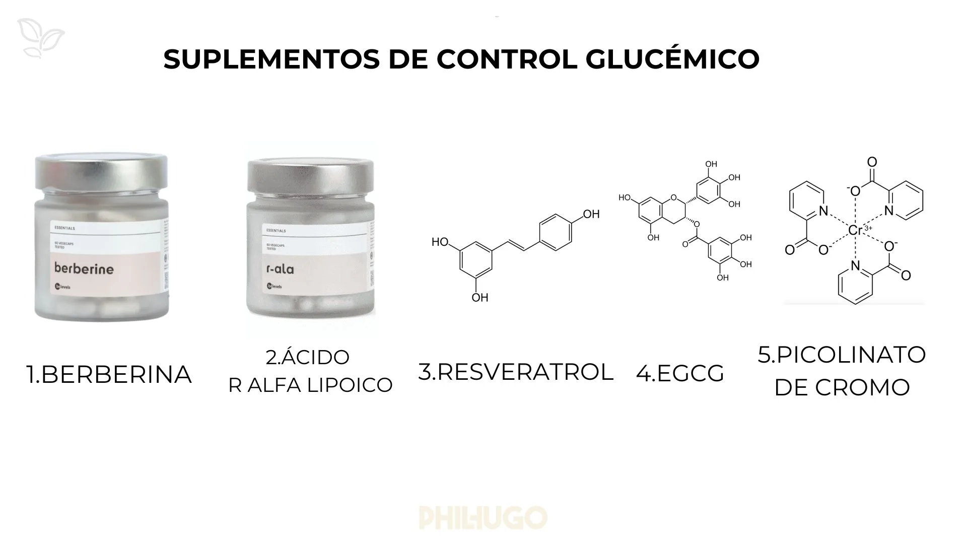masterclass_comidas_libres_preview_6